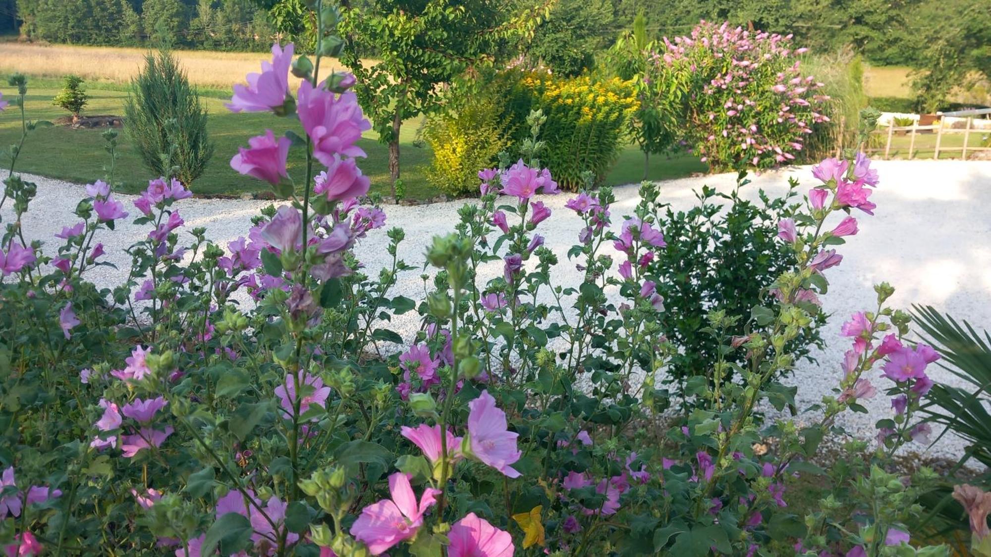 Lpc Dordogne Holidays - Le Petit Coin Lussas-et-Nontronneau Zewnętrze zdjęcie